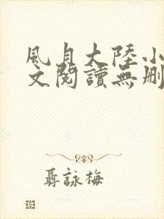 风月大陆小说全文阅读无删减