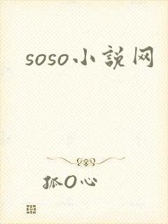 soso小说网