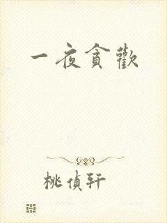一夜贪欢封面