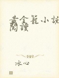 黄金笼小说免费阅读封面