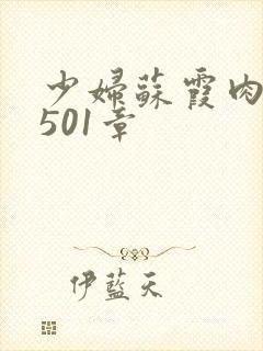 少妇苏霞肉欲第501章