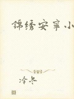 锦绣安宁小说封面