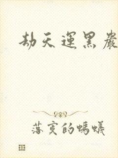 劫天运黑岩封面