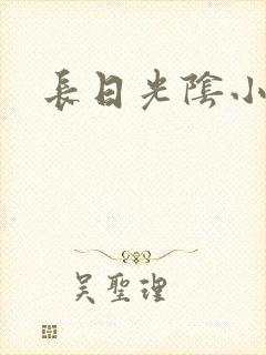 长日光阴小说