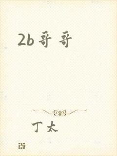 2b哥哥