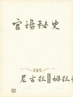 官场秘史