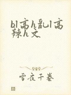 bl高h乱l高辣h文封面