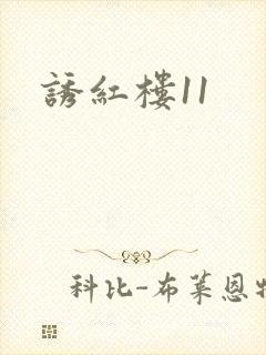 诱红楼11