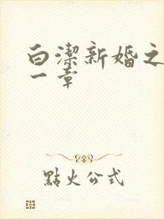 白洁新婚之夜第一章