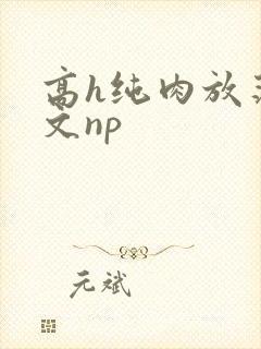 高h纯肉放荡h文np