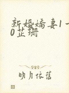 新婚娇妻1一40芷珊