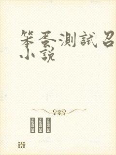 笨蛋测试召唤兽小说