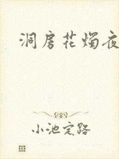 洞房花烛夜小说