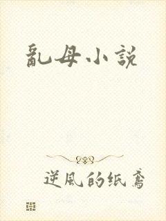 乱母小说