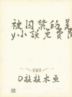 被囚禁的美人by小说免费阅读