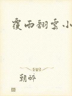 覆雨翻云小说封面