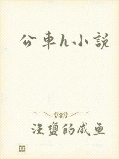 公车h小说