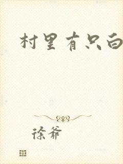 村里有只白骨精封面