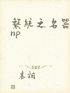 系统之名器攻略np