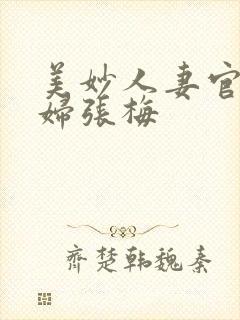 美妙人妻官场少妇张梅封面