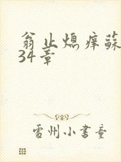 翁止熄痒苏钥第34章
