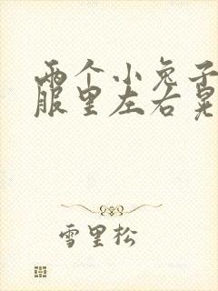 两个小兔子在衣服里左右晃封面