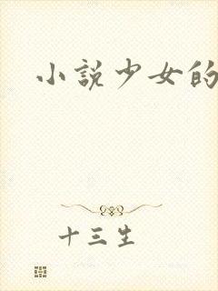 小说少女的心封面