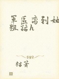 军区脔到她哭h粗话h封面