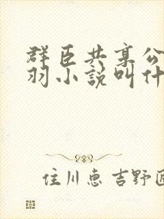 群臣共享公主银羽小说叫什么