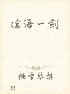 沧海一剑封面