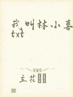 我叫林小喜小说txt