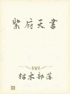 紫府天书