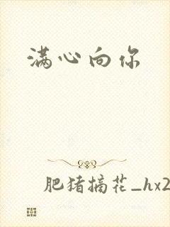 满心向你