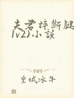 夫君摔断腿后(1v2)小说