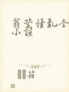 翁莹情乱全部篇小说