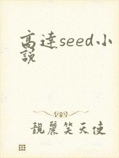 高达seed小说