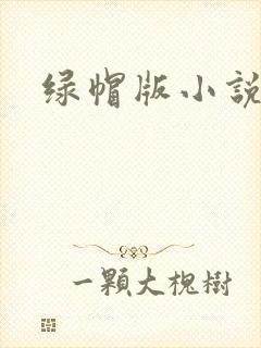 绿帽版小说