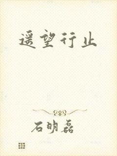 遥望行止封面