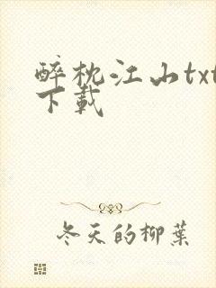 醉枕江山txt下载