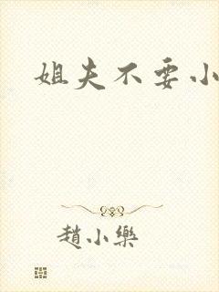 姐夫不要小说