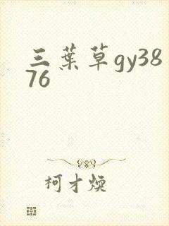 三叶草gy3876封面