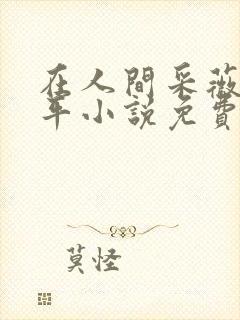 在人间采薇陆三平小说免费阅读