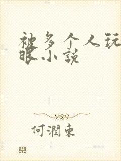 被多个人玩屁股眼小说封面