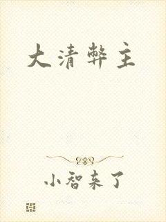大清弊主封面