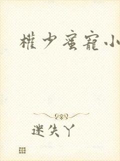 权少蜜宠小娇妻