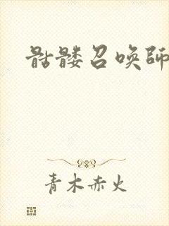 骷髅召唤师封面