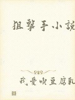 狙击手小说封面