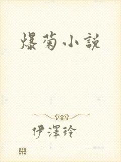 爆菊小说