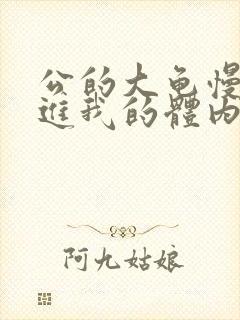 公的大龟慢慢挺进我的体内