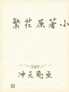 繁花原著小说